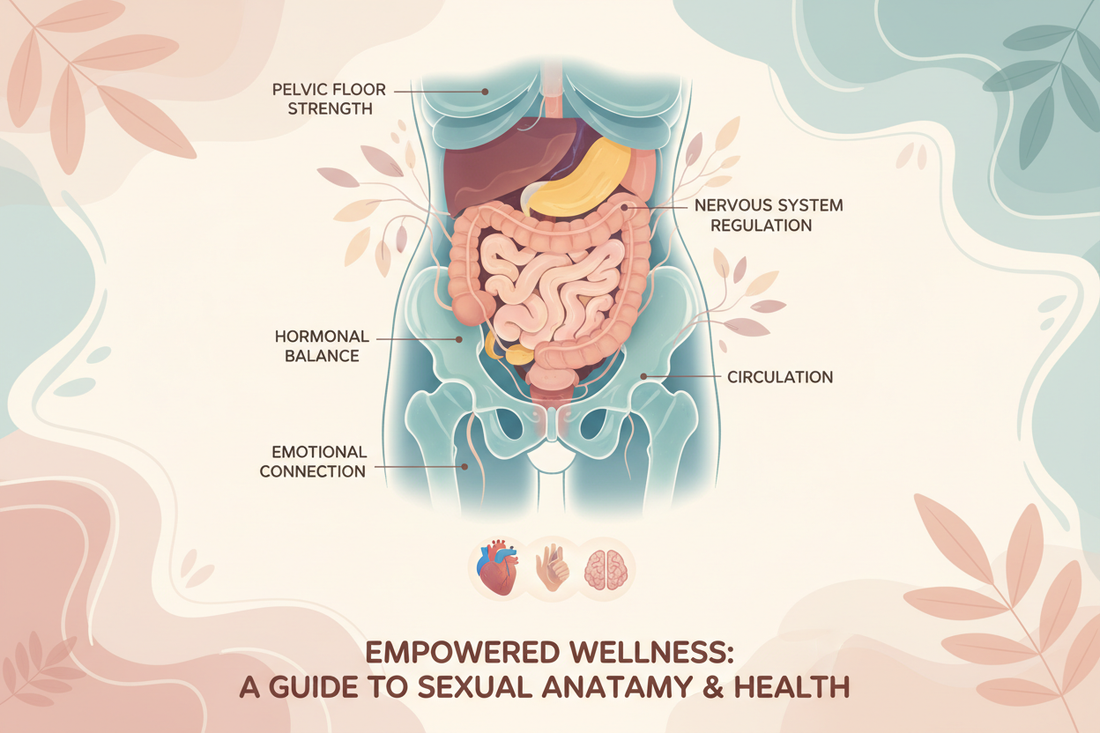 Pelvic Floor Health: Why It Matters for Everyone