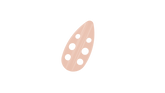 Flexor - Bare